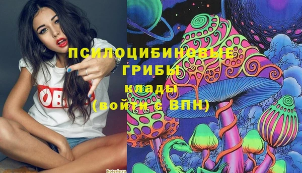 Альфа ПВП Инта